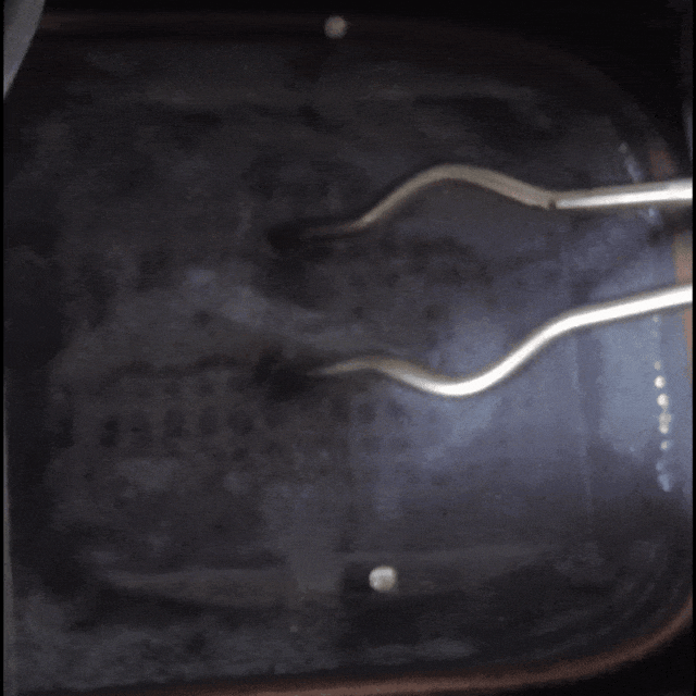 640 (12) 640 (12).gif